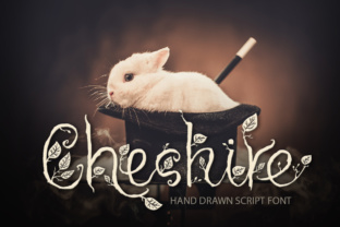 Cheshire: The Perfect Script Font for Engaging Campaigns