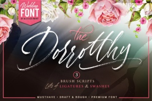 Enhance Your Brand with Dorrotthy Script Font