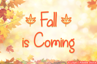 Enhance Your Web Design with Fall is Coming Font