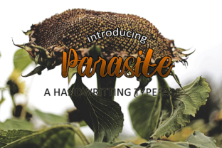 Parasite: A Fun, Bold Font for Modern Branding