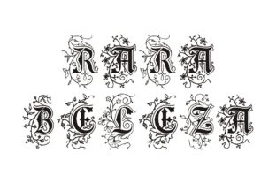 Rara Beleza: A Classic Antique Font for Elegant Design